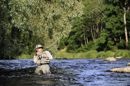What Makes a Great Fly Fishing Rod