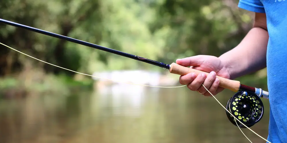 best fly rods