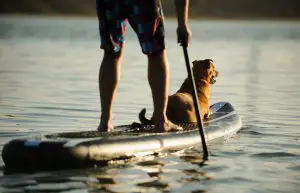 Inflatable Paddle Board with Dog