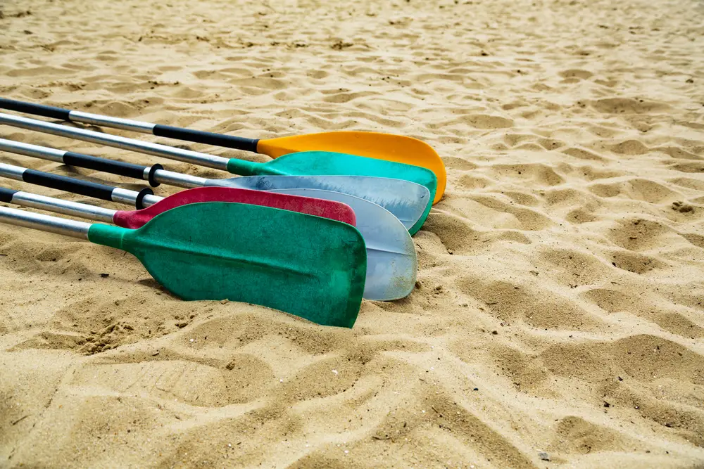 6 Best Kayak Paddle Reviews 2023 Outdoorsity
