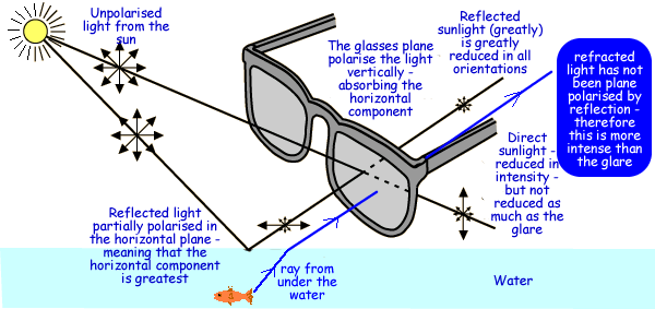 What Does Polarized Sunglasses Mean