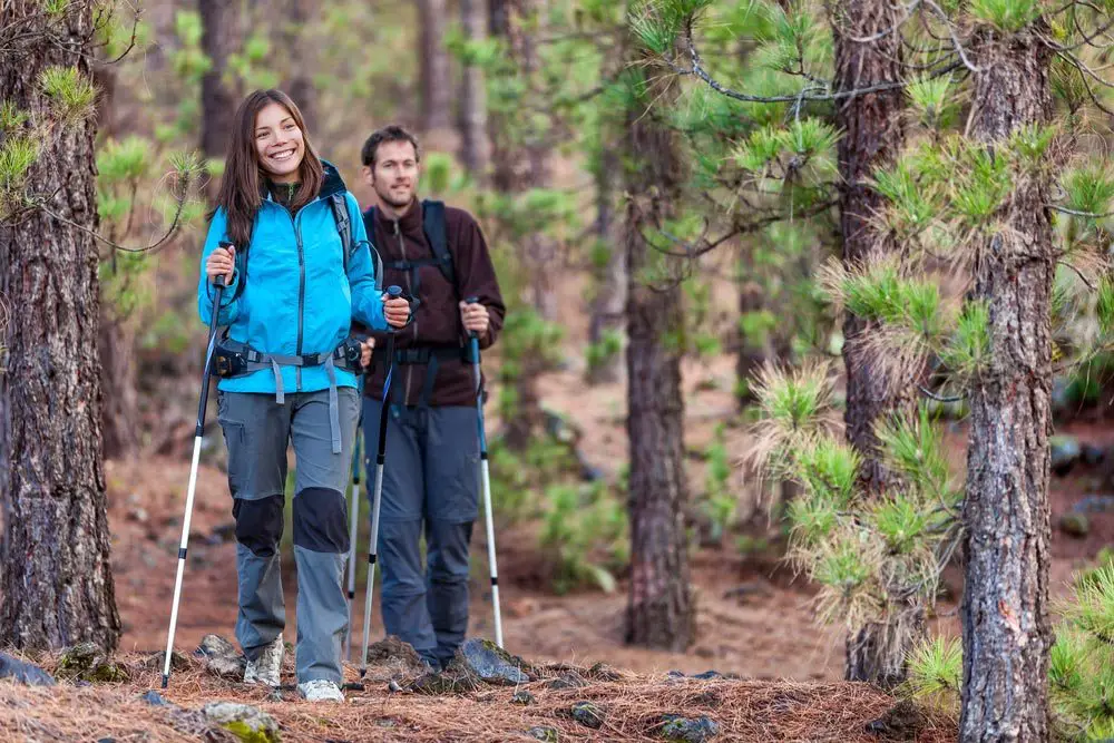 Best Hiking Pants