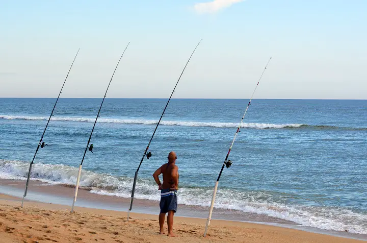How to Choose the Best Surf Fishing Rod