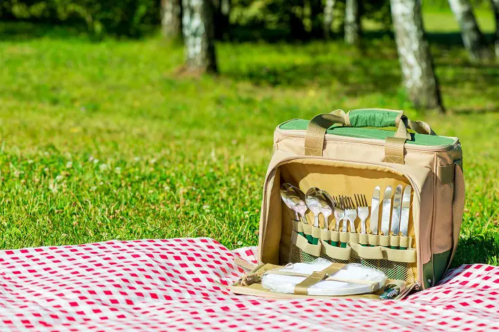 Pros and Cons of Lunch Coolers