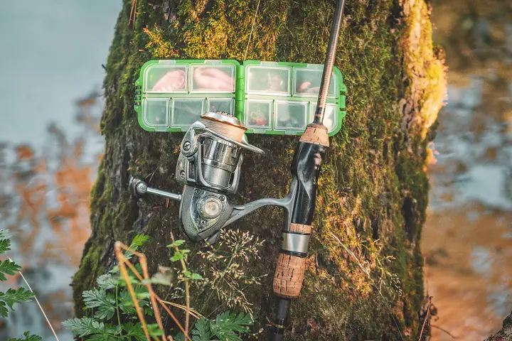 Trout Spinning Reel Seat