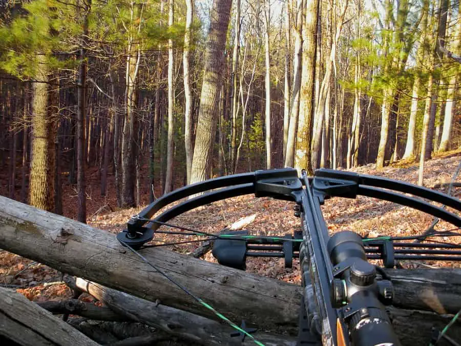 Crossbow resting on tree trunk in forest