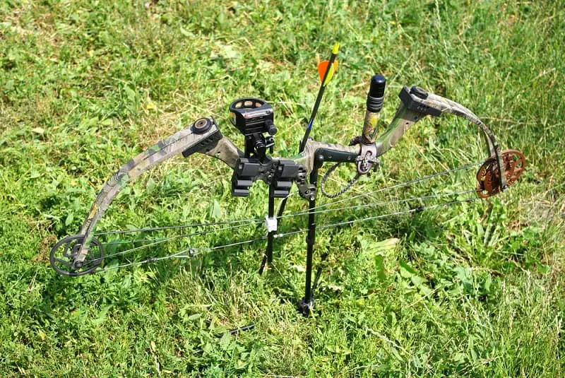 Compound Bow on Grass