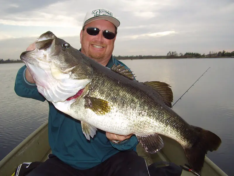 A man with sunglasses holding a huge bass fish on its mouth