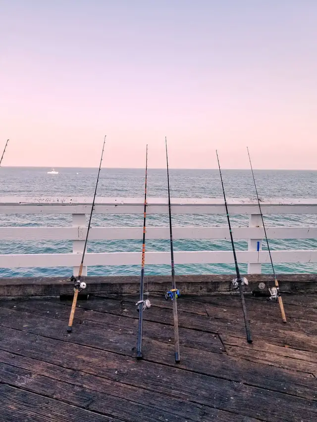 Fishing rods leaning on the fence near the sea