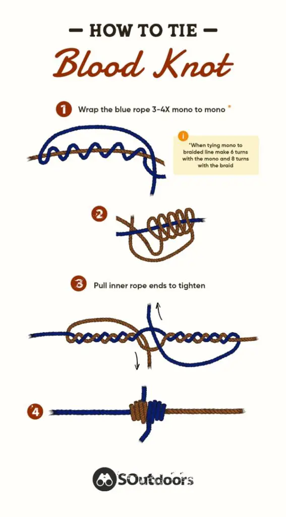 How to tie a blood knot infographic