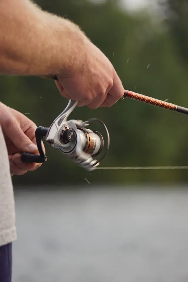 A fisherman holding his fishing rod while rolling in his spinning reel