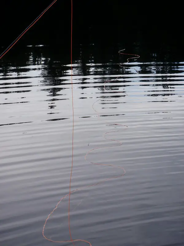 Long fishing line on the water