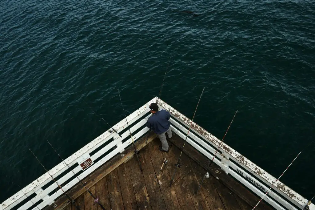 A fisherman mounts his fishing rods while waiting for the catch