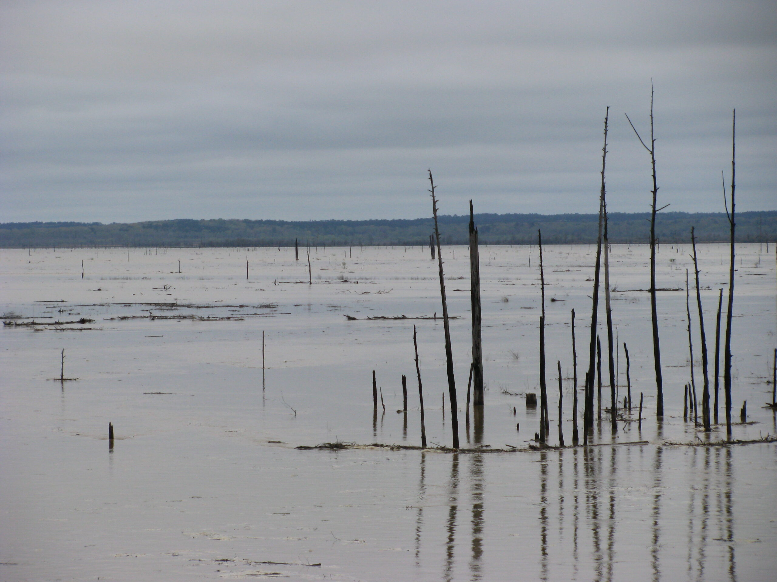 Grenada Lake, the number one Crappie fishing location in the US
