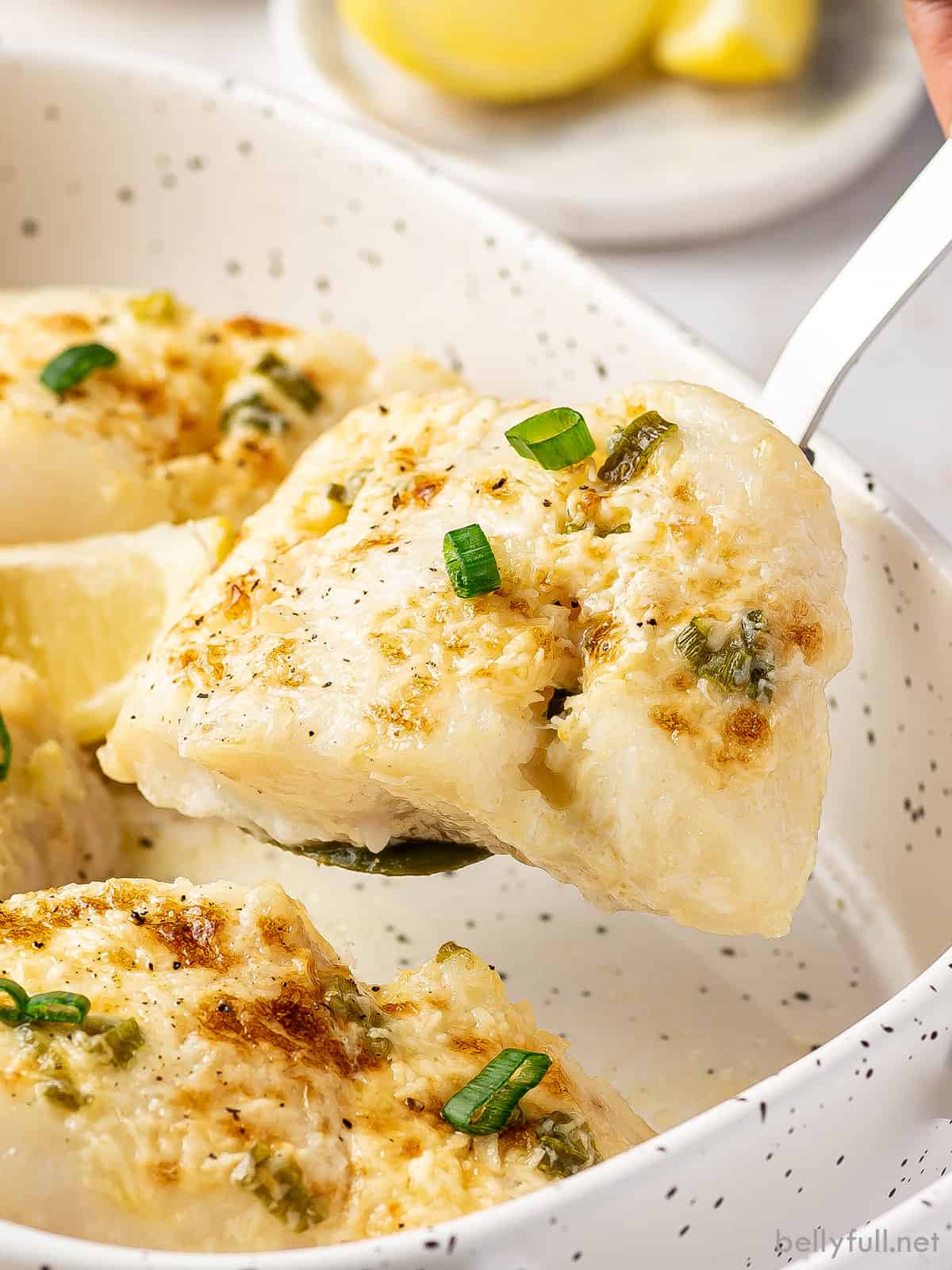 4-Creamy Baked Halibut-Baked-Halibut-blog-1 Creamy Baked Halibut