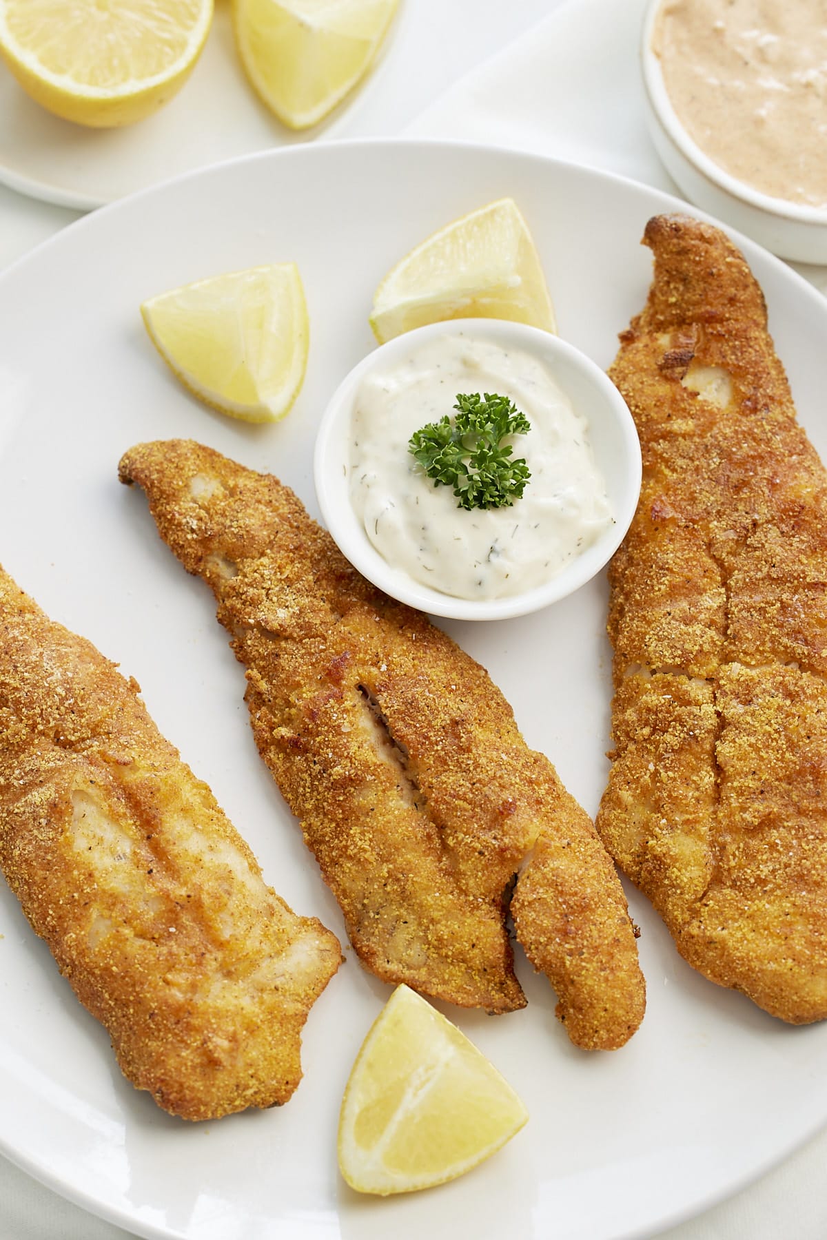 8-Crispy Air Fryer Fish-air-fryer-fish-0097 Crispy Air Fryer Fish