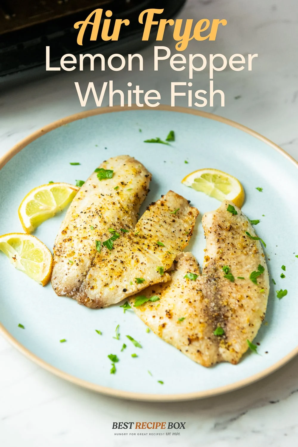 9-Air Fryer White Fish with Garlic & Lemon Pepper-Air-fryer-white-fish-BestRecipeBox-3 Air Fryer White Fish with Garlic & Lemon Pepper