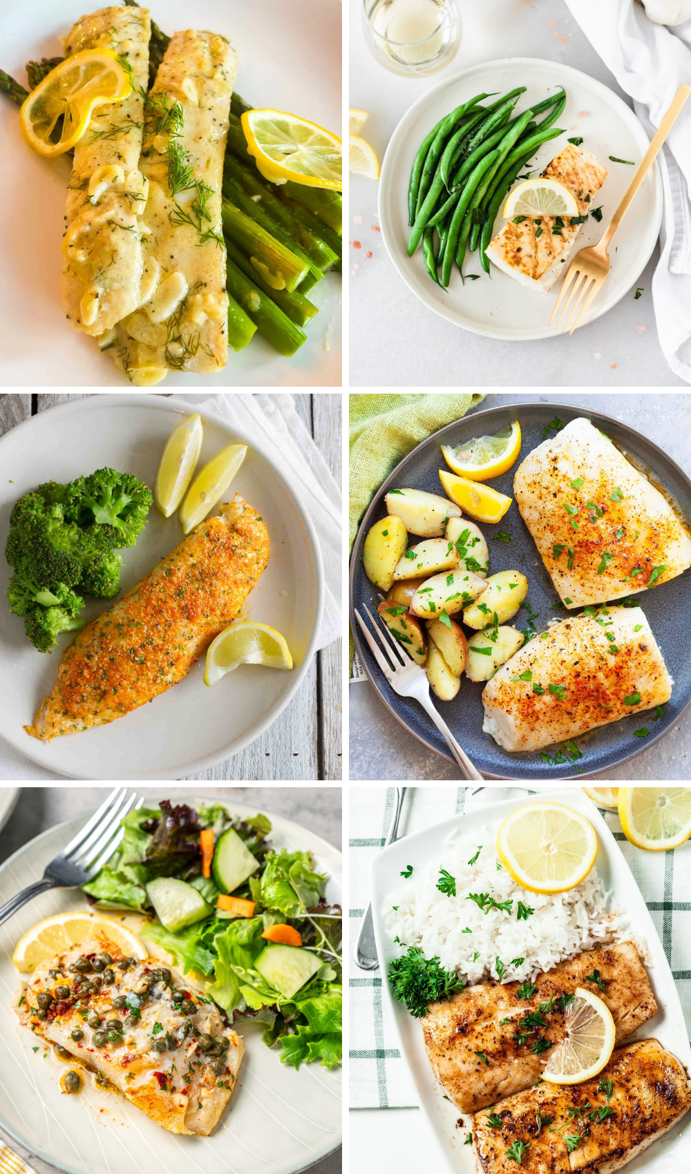 11 White Fish Recipes Anyone Can Actually Pull Off Pretty Easily!