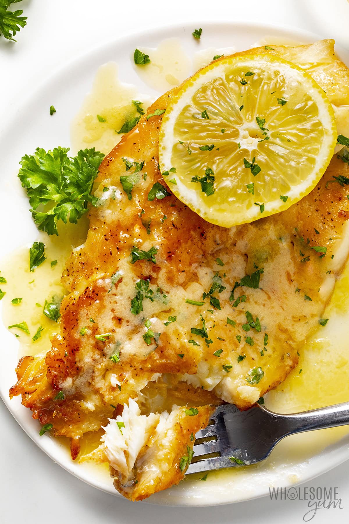2-Pan-Fried Tilapia-wholesomeyum-Pan-Fried-Tilapia-32 Pan-Fried Tilapia