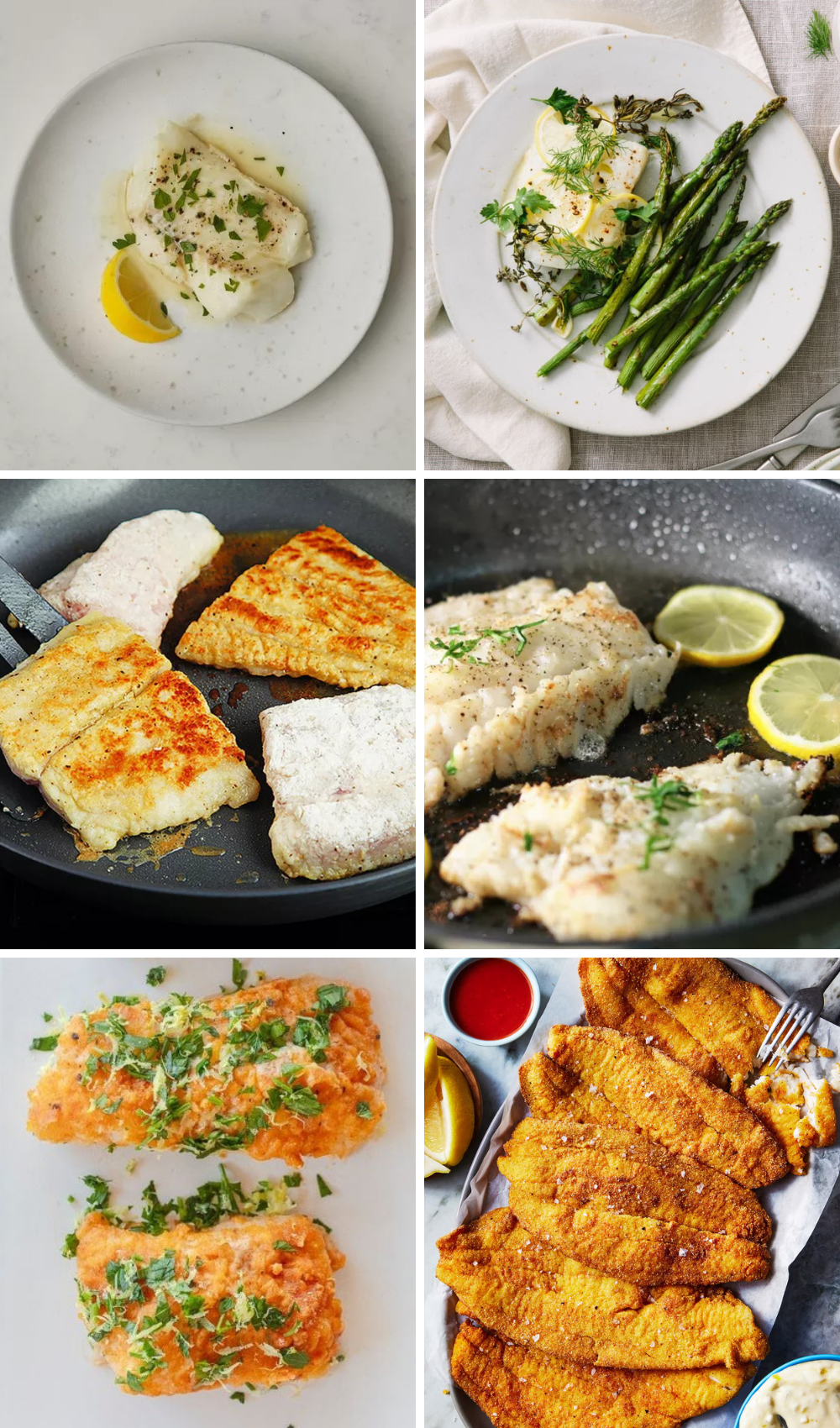 Best White Fish Recipes: 11 Easy, Flavorful Dishes — Pan-Seared, Baked, Fried & Tacos