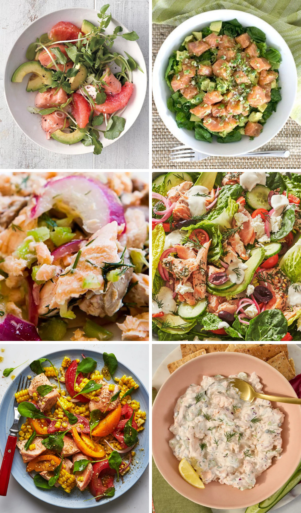 9 Healthy Salmon Salad Recipes: Fresh, Protein-Packed Meals & Light Dishes