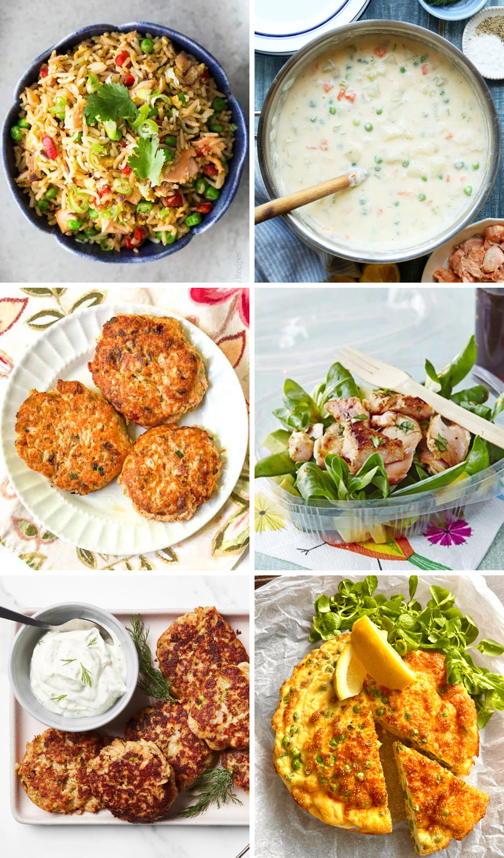 9 Easy Leftover Salmon Recipes: Delicious Dishes & Meals to Rescue Every Fillet