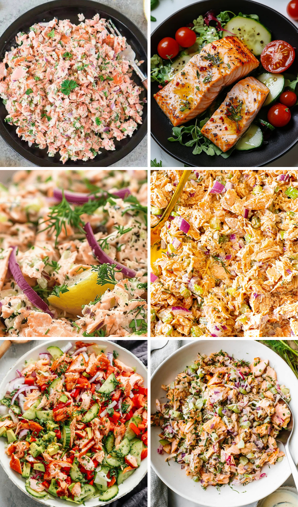 8 Irresistible Salmon Salad Recipes: Quick, Healthy Salmon Meals & Dishes for Lunch, Dinner, and Meal Prep