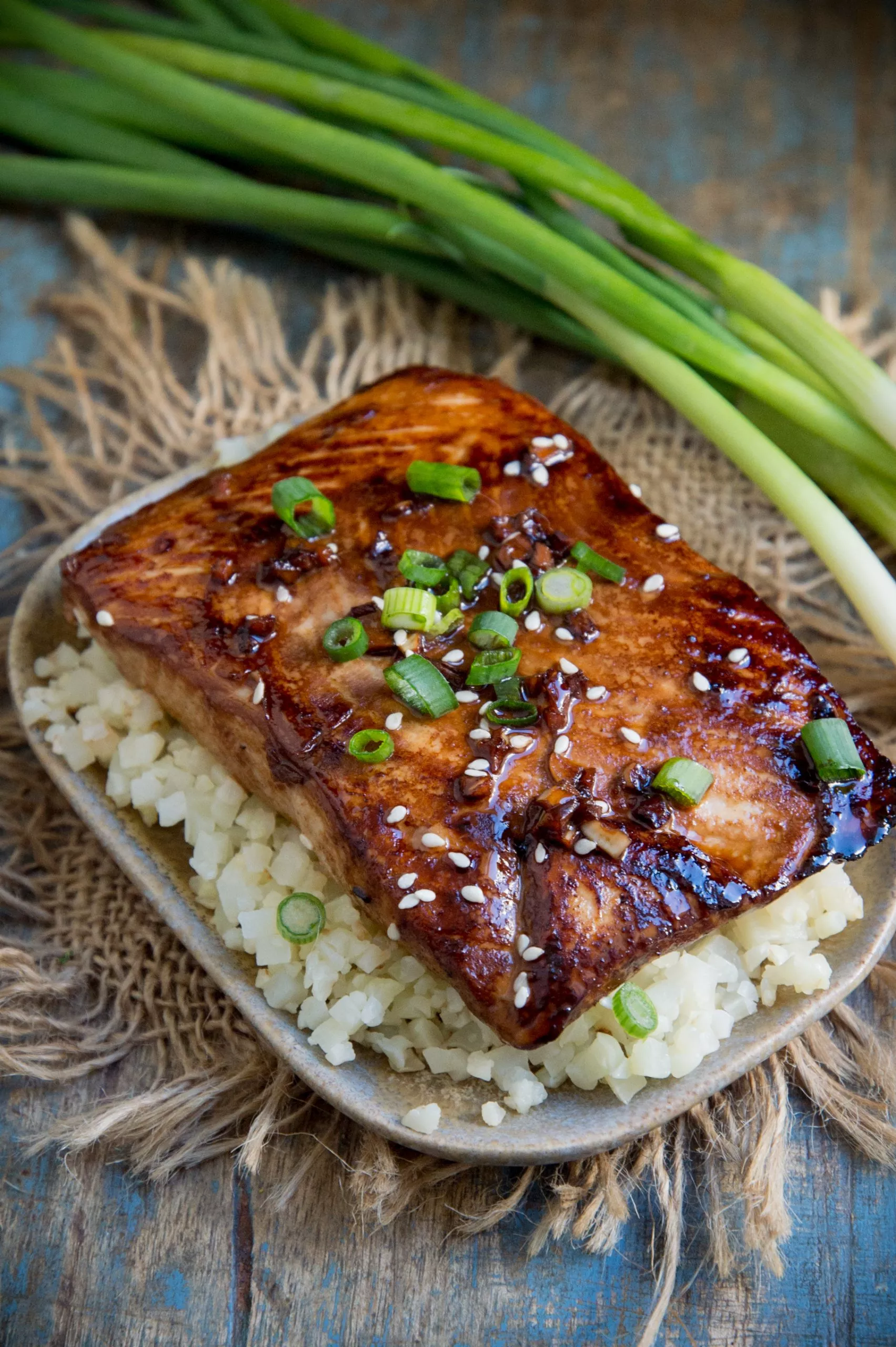 Low Carb Salmon Recipes - 6-Low-Carb Teriyaki Salmon-Teriyaki-Salmon-V1-scaled