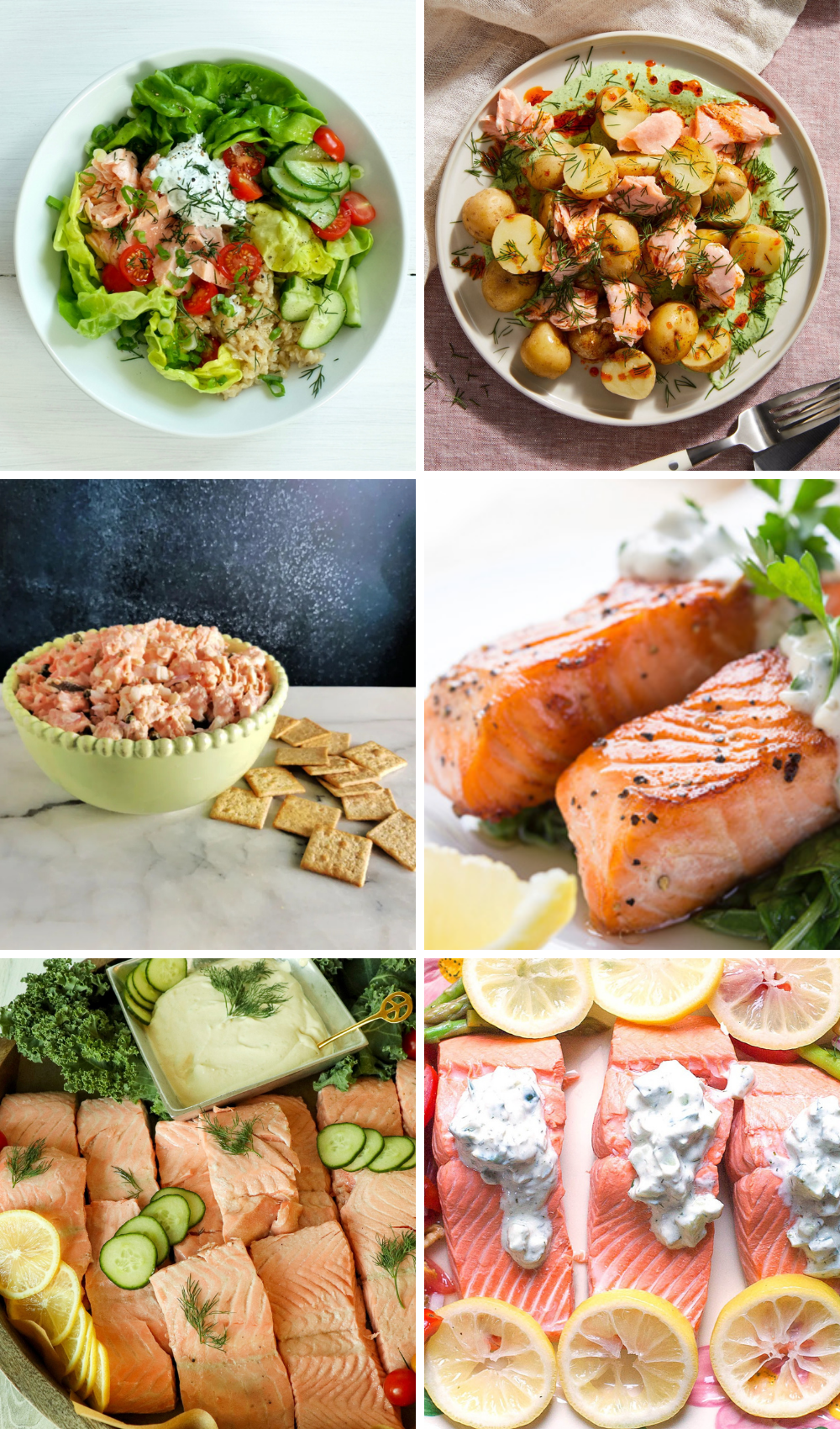 Cold Salmon Recipes: 9 Chilled Salmon Dishes for Brunch, Lunch & Entertaining