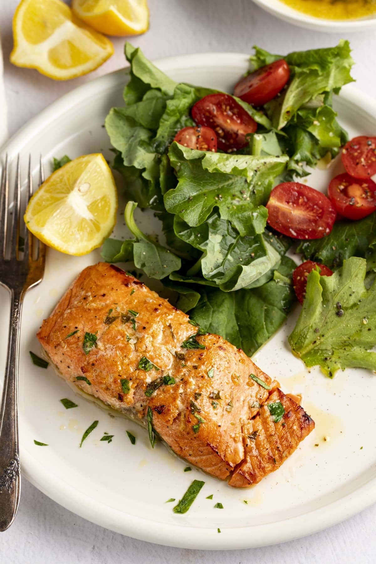 Broiled Salmon Recipes - 1-Broiled Salmon in a Simple Marinade-IMG_6794